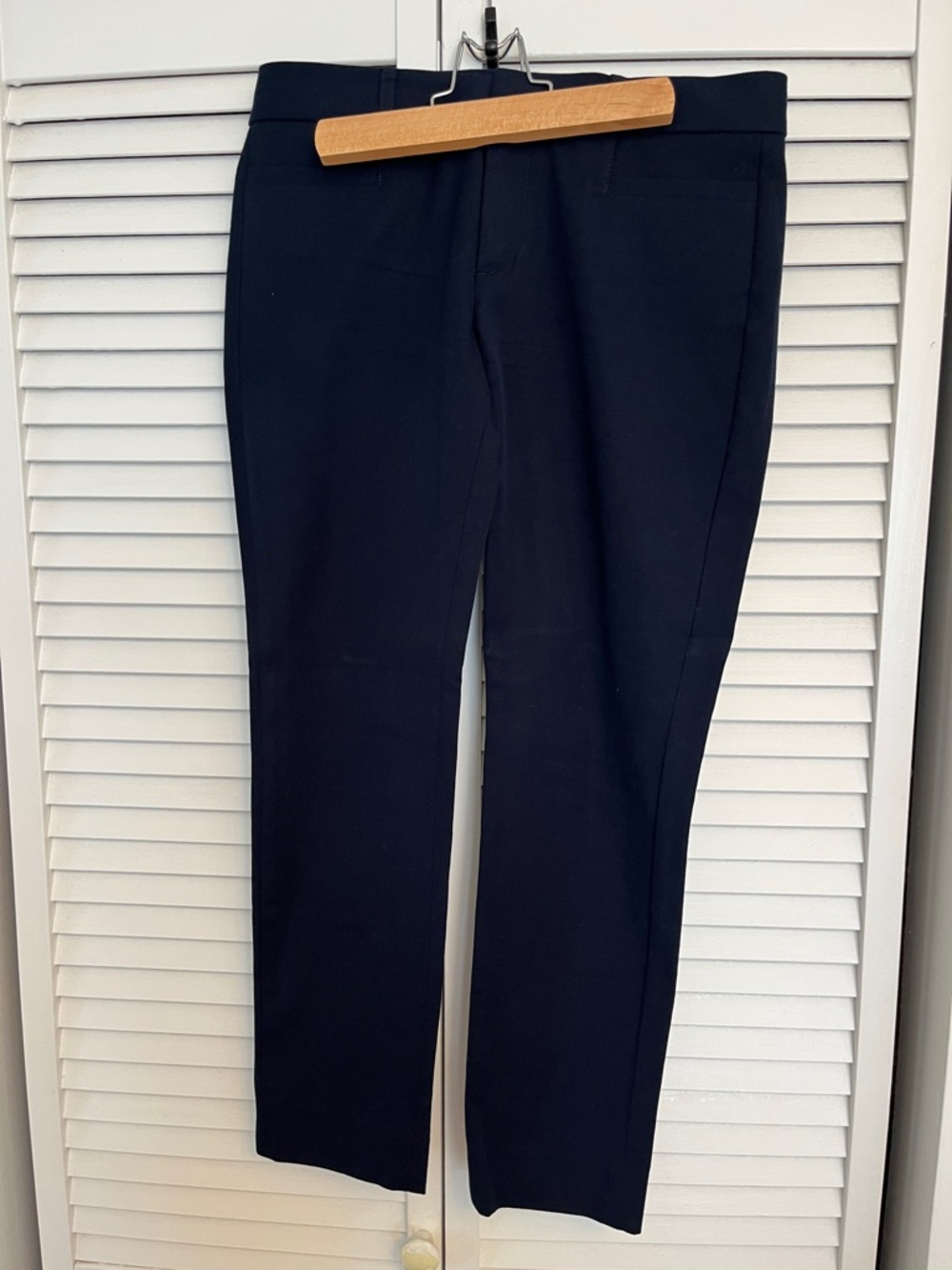 Banana Republic Navy Sloan Pant